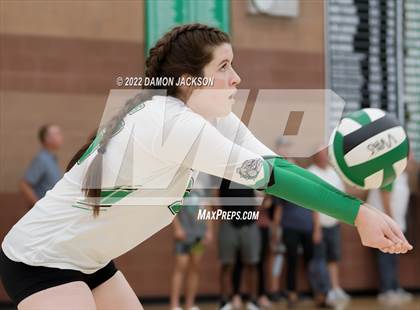 Thumbnail 2 in Pahrump @ Virgin Valley photogallery.