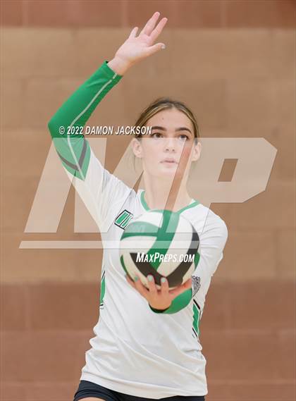 Thumbnail 1 in Pahrump @ Virgin Valley photogallery.