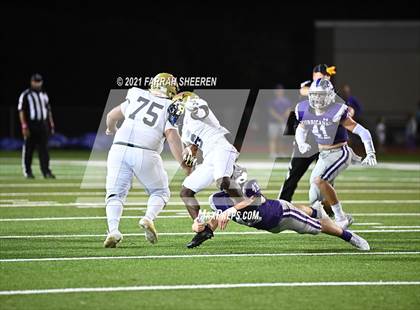 Thumbnail 3 in Klein Collins @ Klein Cain photogallery.
