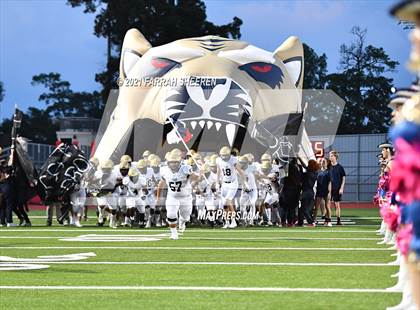 Thumbnail 3 in Klein Collins @ Klein Cain photogallery.