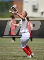 Photo from the gallery "Chico @ Foothill"