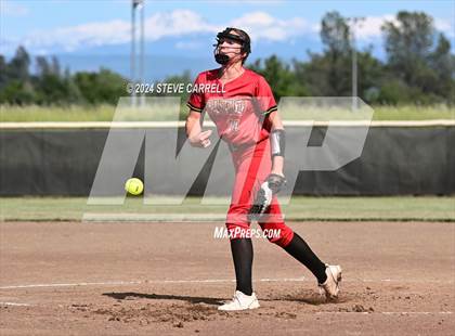 Thumbnail 1 in Chico @ Foothill photogallery.