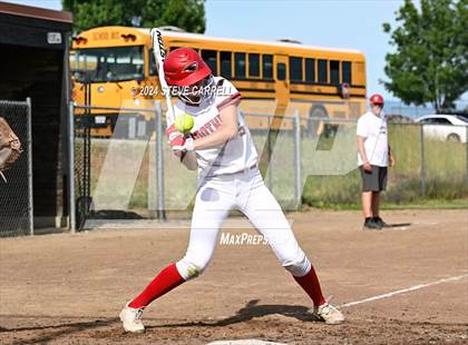 Thumbnail 3 in Chico @ Foothill photogallery.
