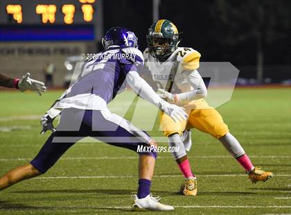 Thumbnail 3 in Klein Forest vs Klein Cain photogallery.
