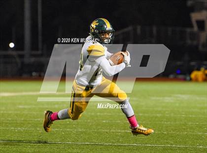 Thumbnail 3 in Klein Forest vs Klein Cain photogallery.