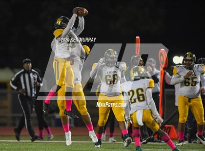 Thumbnail 3 in Klein Forest vs Klein Cain photogallery.