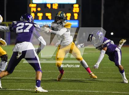 Thumbnail 2 in Klein Forest vs Klein Cain photogallery.