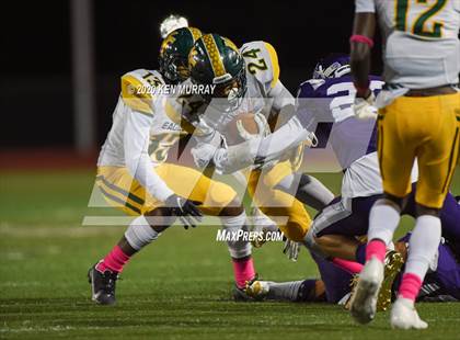 Thumbnail 2 in Klein Forest vs Klein Cain photogallery.