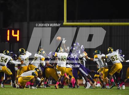 Thumbnail 3 in Klein Forest vs Klein Cain photogallery.