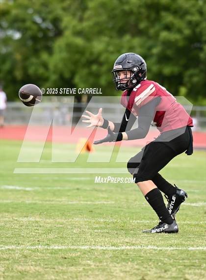 Thumbnail 2 in FR: Shasta @ West Valley photogallery.