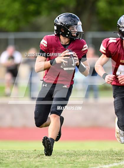 Thumbnail 2 in FR: Shasta @ West Valley photogallery.