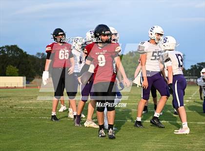 Thumbnail 1 in FR: Shasta @ West Valley photogallery.