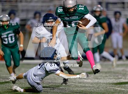 Thumbnail 3 in FR: Vista del Lago @ Ponderosa photogallery.