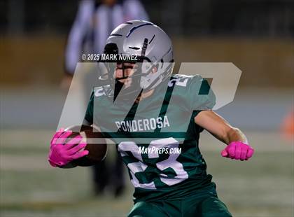 Thumbnail 3 in FR: Vista del Lago @ Ponderosa photogallery.