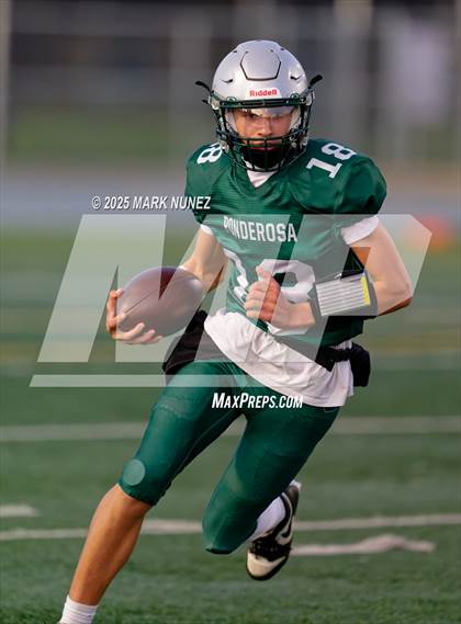 Thumbnail 3 in FR: Vista del Lago @ Ponderosa photogallery.