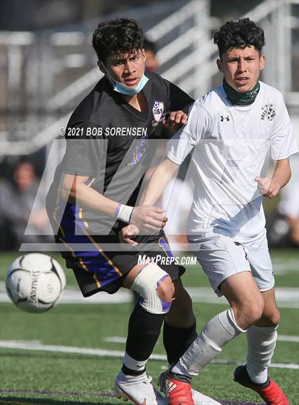 Thumbnail 3 in Brentwood @ Central Islip photogallery.