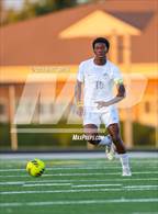 Photo from the gallery "St. Ignatius @ Jackson"
