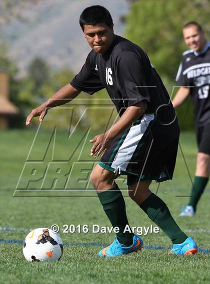 Thumbnail 1 in Wendover @ Waterford (UHSAA 2A Tournament) photogallery.