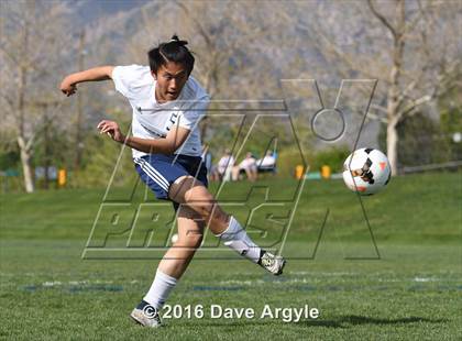 Thumbnail 3 in Wendover @ Waterford (UHSAA 2A Tournament) photogallery.