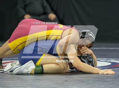 Thumbnail 2 in CIF State Girls Wrestling Championships (Consolation Semifinals) photogallery.