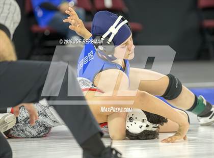 Thumbnail 2 in CIF State Girls Wrestling Championships (Consolation Semifinals) photogallery.