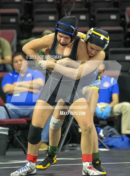 Thumbnail 2 in CIF State Girls Wrestling Championships (Consolation Semifinals) photogallery.