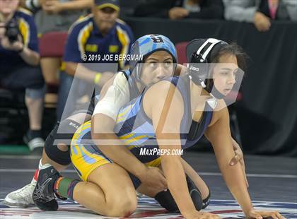Thumbnail 2 in CIF State Girls Wrestling Championships (Consolation Semifinals) photogallery.