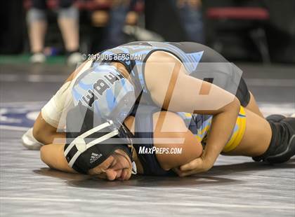 Thumbnail 2 in CIF State Girls Wrestling Championships (Consolation Semifinals) photogallery.