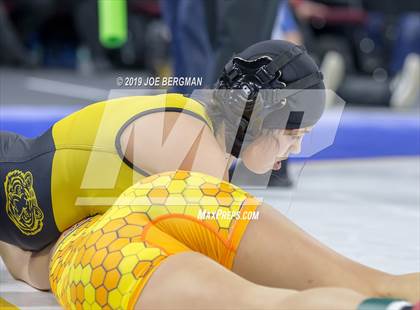 Thumbnail 2 in CIF State Girls Wrestling Championships (Consolation Semifinals) photogallery.