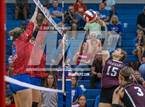 Photo from the gallery "Lockhart @ Leander"