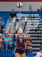Photo from the gallery "Lockhart @ Leander"