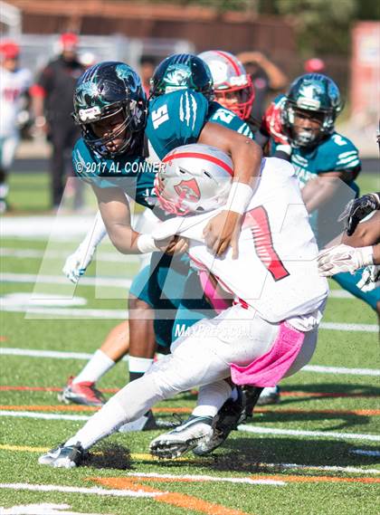 Thumbnail 2 in Suitland @ Flowers photogallery.