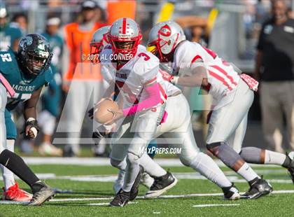 Thumbnail 2 in Suitland @ Flowers photogallery.