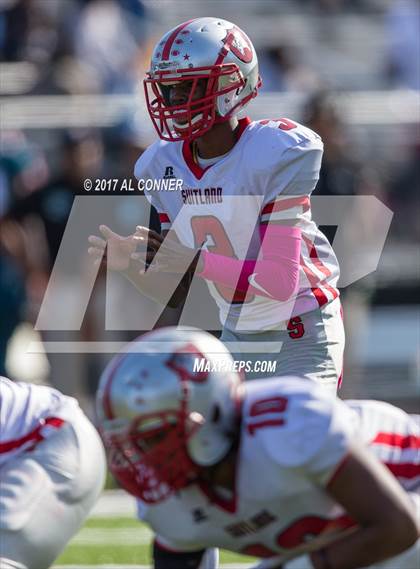 Thumbnail 2 in Suitland @ Flowers photogallery.