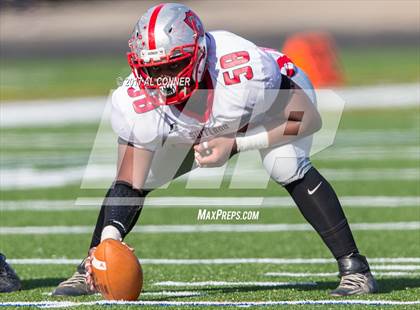 Thumbnail 2 in Suitland @ Flowers photogallery.