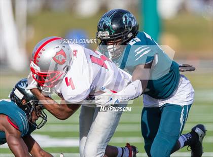 Thumbnail 1 in Suitland @ Flowers photogallery.
