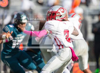 Thumbnail 1 in Suitland @ Flowers photogallery.