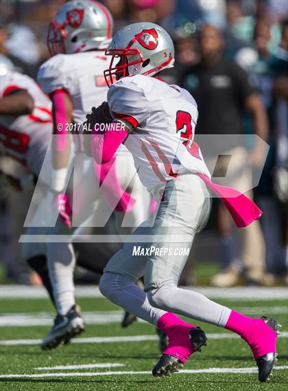 Thumbnail 1 in Suitland @ Flowers photogallery.