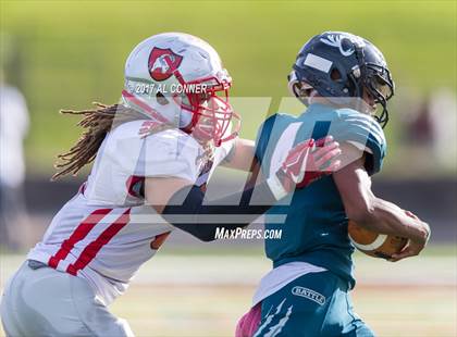 Thumbnail 2 in Suitland @ Flowers photogallery.