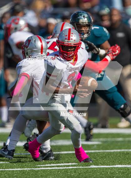 Thumbnail 2 in Suitland @ Flowers photogallery.