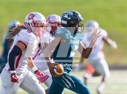 Thumbnail 1 in Suitland @ Flowers photogallery.