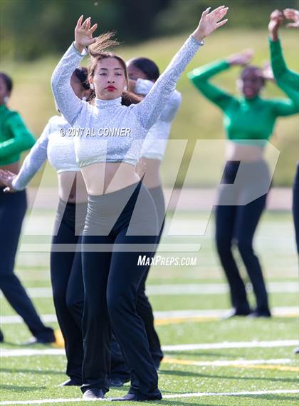 Thumbnail 3 in Suitland @ Flowers photogallery.