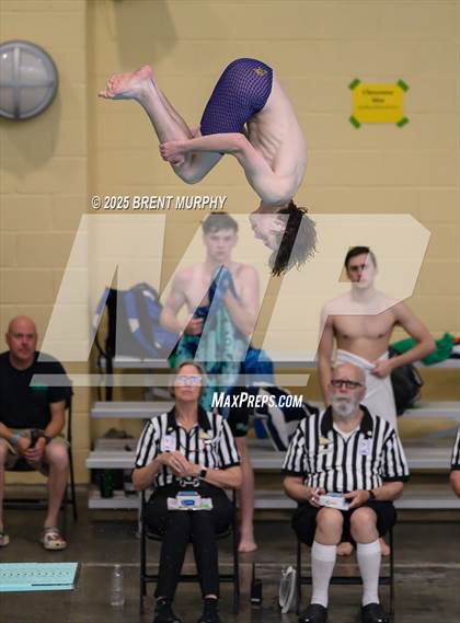 Thumbnail 3 in CHSAA 4A Dive Finals photogallery.