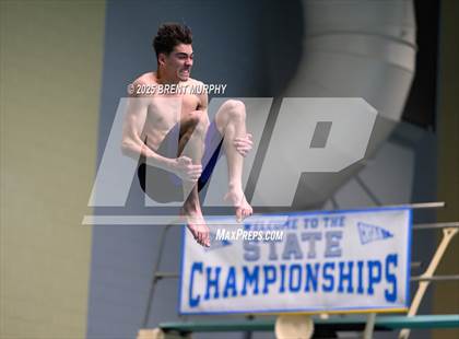Thumbnail 3 in CHSAA 4A Dive Finals photogallery.