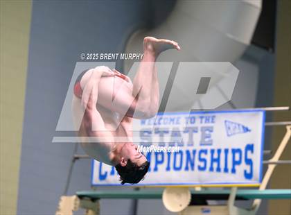 Thumbnail 2 in CHSAA 4A Dive Finals photogallery.