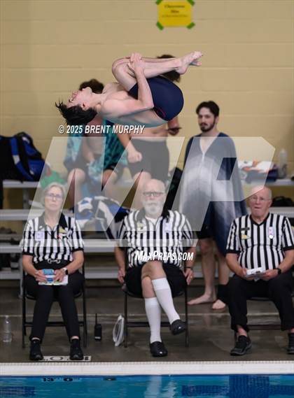 Thumbnail 3 in CHSAA 4A Dive Finals photogallery.