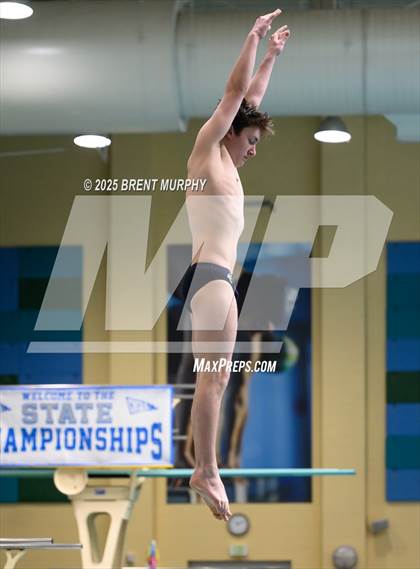 Thumbnail 3 in CHSAA 4A Dive Finals photogallery.