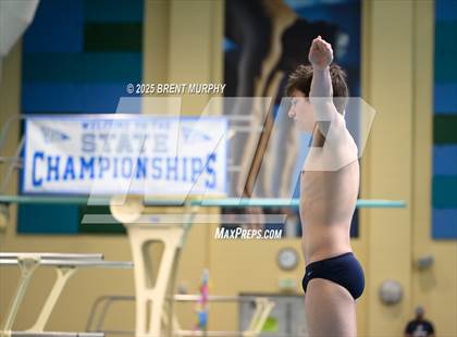 Thumbnail 2 in CHSAA 4A Dive Finals photogallery.
