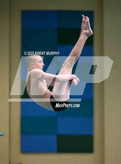 Thumbnail 1 in CHSAA 4A Dive Finals photogallery.