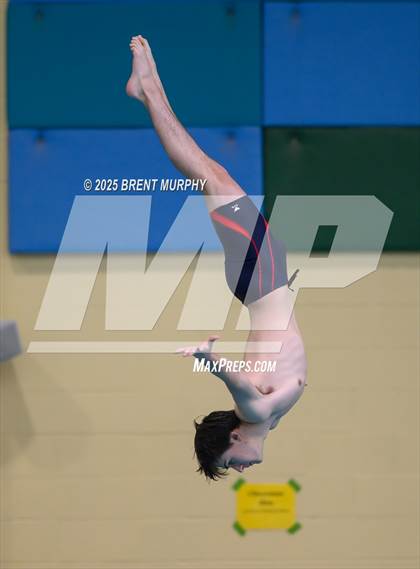 Thumbnail 3 in CHSAA 4A Dive Finals photogallery.